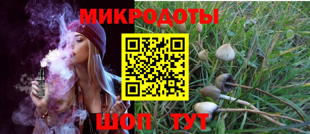 Галлюциногенные грибы ЛСД  Вход с VPN  Ревда 